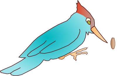 Woodpecker clipart