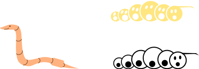 Worm clipart