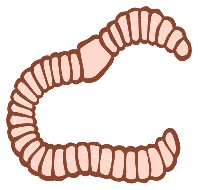 Worm - coloured clipart