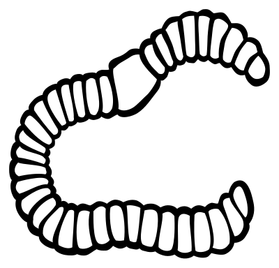 Worm - lineart clipart