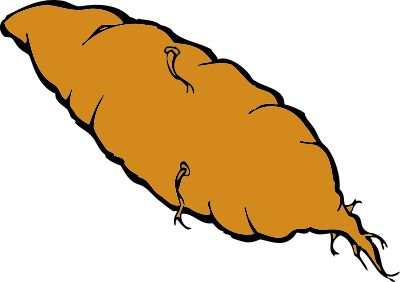 Yam clipart