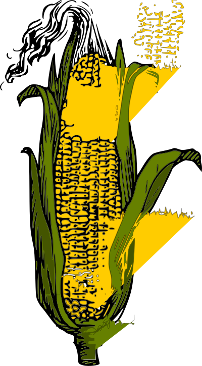 Yellow corn clipart