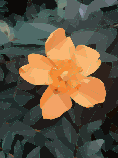 Yellow Flower clipart