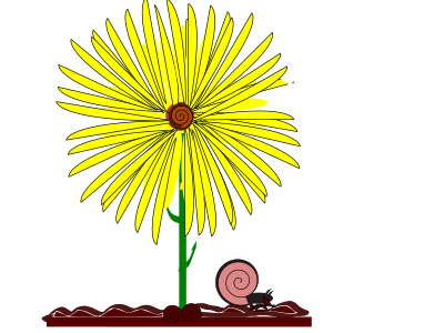 Yellow flower and snail clipart