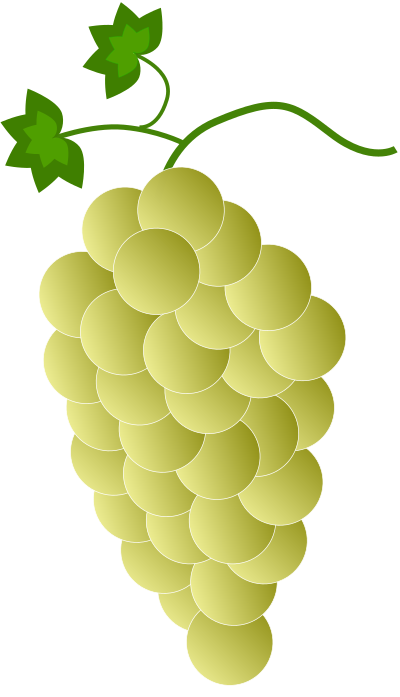 Yellow grapes clipart