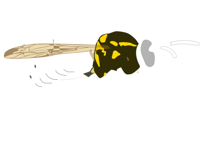 Yellow Jacket clipart