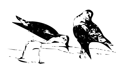 Yellow leg bird clipart