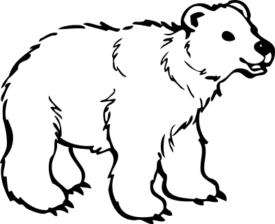 Young bear clipart