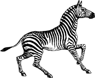 Zebra 2 clipart