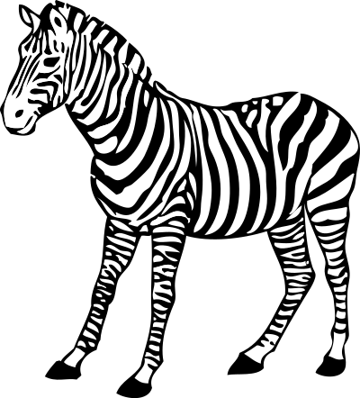 Zebra clipart