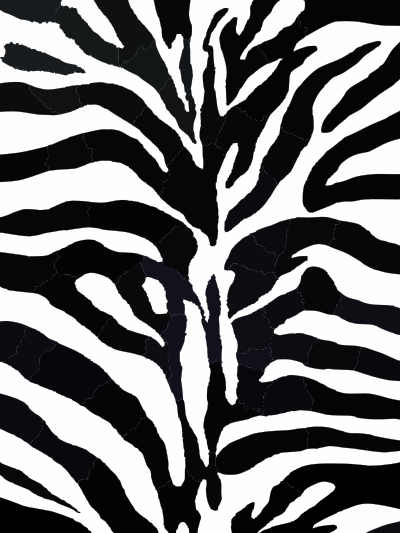 Zebra Pattern clipart
