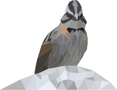 Zonotrichia capensis clipart