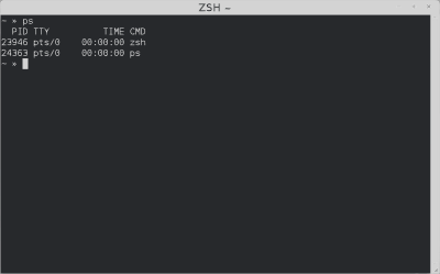 ZSH Terminal clipart