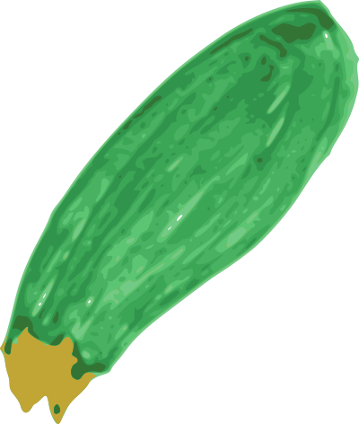 Zucchini clipart